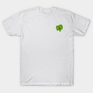 Pothos Golden Leaf T-Shirt